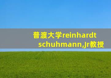 普渡大学reinhardt schuhmann,Jr教授